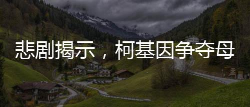 悲劇揭示，柯基因爭(zhēng)奪母狗而大打出手，意外失利導(dǎo)致不幸身亡