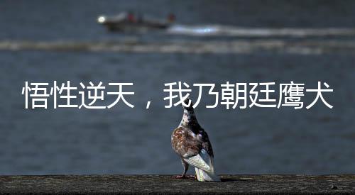悟性逆天，我乃朝廷鷹犬