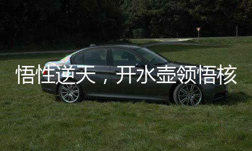 悟性逆天，開水壺領(lǐng)悟核聚變！