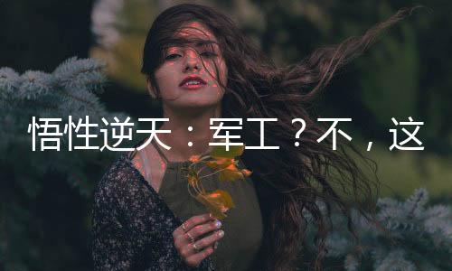 悟性逆天：軍工？不，這只是民用