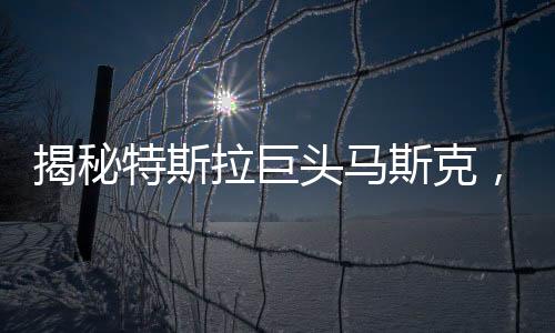 揭秘特斯拉巨頭馬斯克，資金來(lái)源巨額資金流向成謎
