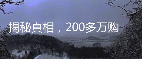 揭秘真相，200多萬(wàn)購(gòu)入二手房遭遇隱藏的租約圈套背后的故事