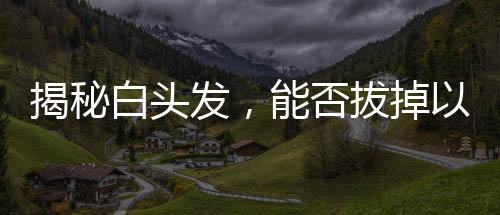 揭秘白頭發(fā)，能否拔掉以及拔白的考量因素