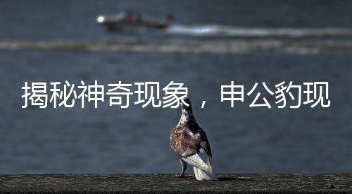 揭秘神奇現(xiàn)象，申公豹現(xiàn)身于盤中之謎