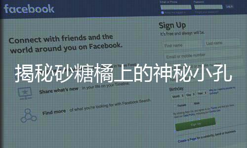 揭秘砂糖橘上的神秘小孔，背后的真相令人著迷