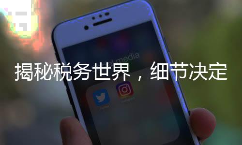 揭秘稅務(wù)世界，細節(jié)決定退稅與補稅的命運