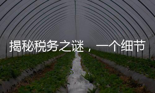 揭秘稅務(wù)之謎，一個(gè)細(xì)節(jié)決定退稅還是補(bǔ)稅