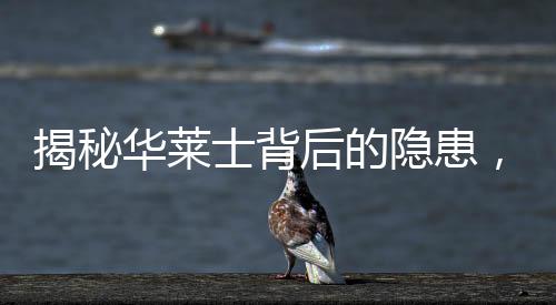 揭秘華萊士背后的隱患，記者臥底發(fā)現(xiàn)頻繁使用過期食材現(xiàn)象揭秘