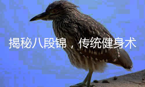 揭秘八段錦，傳統(tǒng)健身術(shù)的真實(shí)效用
