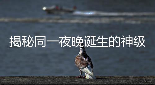 揭秘同一夜晚誕生的神級(jí)現(xiàn)場(chǎng)，神秘之夜喚醒無數(shù)驚艷時(shí)刻