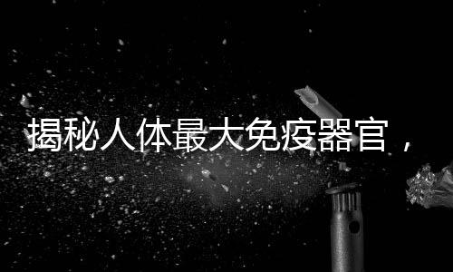 揭秘人體最大免疫器官，神奇的自我保護機制揭秘