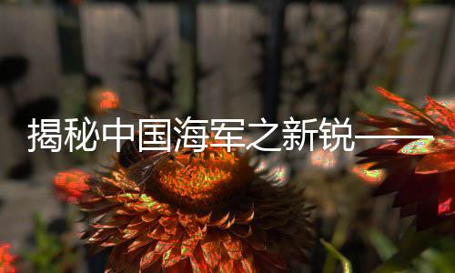 揭秘中國海軍之新銳——055大驅(qū)的實(shí)力解析