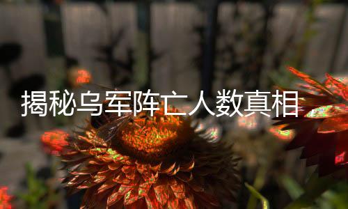 揭秘烏軍陣亡人數(shù)真相，數(shù)字背后的復(fù)雜戰(zhàn)爭