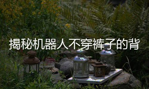揭秘機器人不穿褲子的背后原因