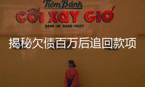 揭秘欠債百萬后追回款項，竟需繳納高達32萬的稅費——深度解析