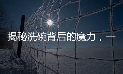 揭秘洗碗背后的魔力，一人洗碗，八萬人圍觀的現(xiàn)象深度解析