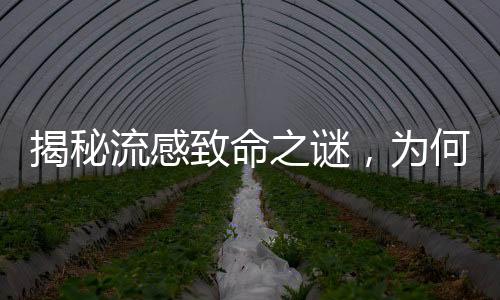 揭秘流感致命之謎，為何小小流感會奪走生命？