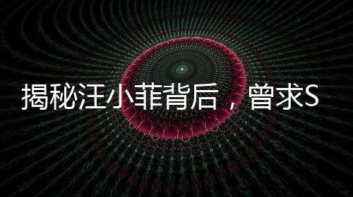 揭秘汪小菲背后，曾求S媽購買大型墓地，背后故事引人深思