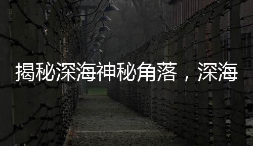 揭秘深海神秘角落，深海三千五百米外太空的幽靈粒子探秘
