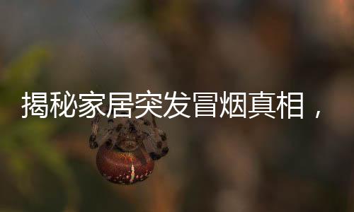 揭秘家居突發(fā)冒煙真相，樓上燒烤竟成幕后原因？