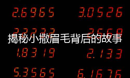 揭秘小撒眉毛背后的故事，誰(shuí)為他的魅力加分？
