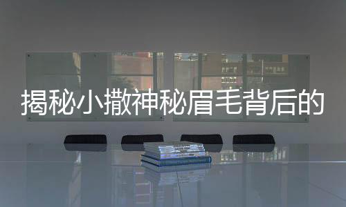 揭秘小撒神秘眉毛背后的故事，誰為小撒畫眉？