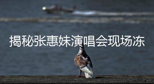 揭秘張惠妹演唱會(huì)現(xiàn)場(chǎng)凍出鼻涕的真相，神秘低溫下的奇跡之夜