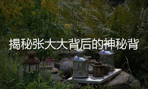 揭秘張大大背后的神秘背景，妖怪爆料引發(fā)關注熱議