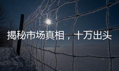 揭秘市場真相，十萬出頭能否購入大廠智能駕駛系統(tǒng)？