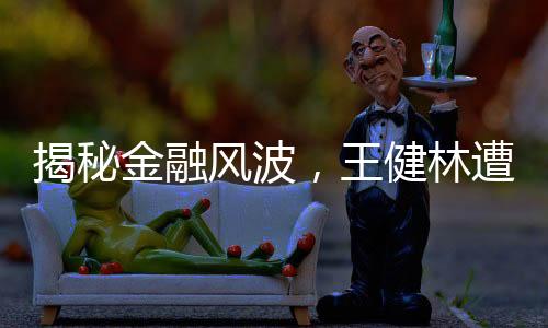 揭秘金融風(fēng)波，王健林遭遇七千萬(wàn)股權(quán)凍結(jié)
