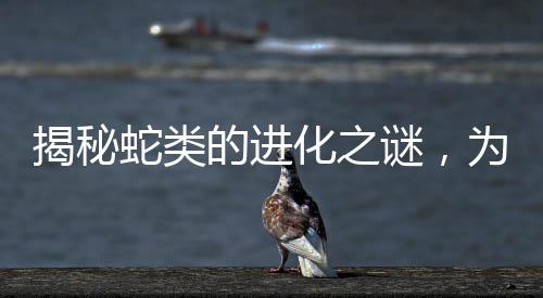 揭秘蛇類的進化之謎，為何逐漸失去四肢？