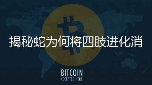 揭秘蛇為何將四肢進(jìn)化消失？揭示神奇的物種進(jìn)化歷程