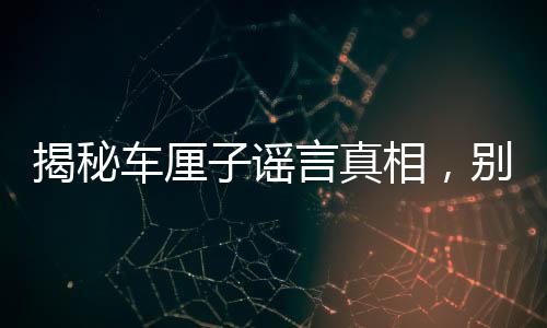 揭秘車?yán)遄又{言真相，別再輕信！