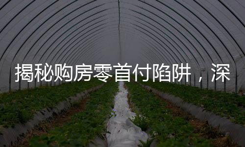 揭秘購(gòu)房零首付陷阱，深度剖析風(fēng)險(xiǎn)隱患