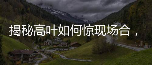 揭秘高葉如何驚現(xiàn)場(chǎng)合，一支鋼筆的時(shí)尚魅力