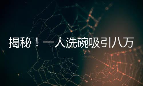 揭秘！一人洗碗吸引八萬人圍觀，究竟有何魔力？