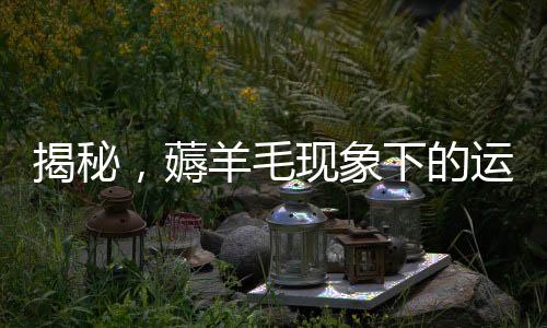 揭秘，薅羊毛現(xiàn)象下的運費險亂象，涉案金額高達200多萬