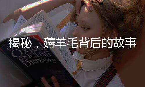 揭秘，薅羊毛背后的故事——一起200多萬運費險的真相