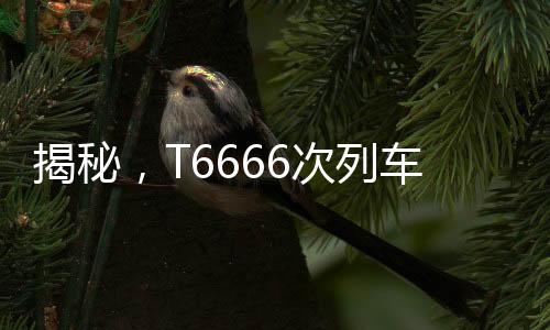 揭秘，T6666次列車真實存在，帶你領略獨特的列車之旅