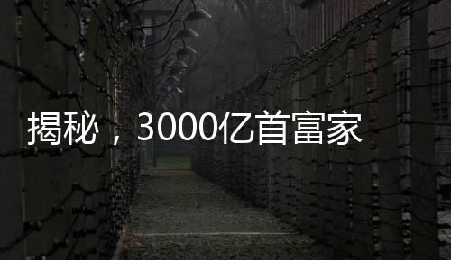 揭秘，3000億首富家族隱秘17年