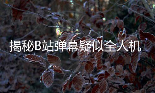 揭秘B站彈幕疑似全人機現(xiàn)象，深度解析背后的技術(shù)與運營策略