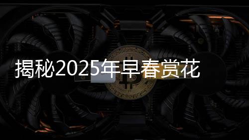 揭秘2025年早春賞花地圖，踏春賞花，盡享自然盛宴