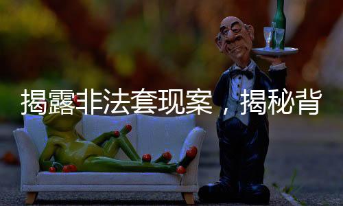 揭露非法套現(xiàn)案，揭秘背后的隱患與挑戰(zhàn)，00后青年涉嫌非法套現(xiàn)近十萬引發(fā)的思考