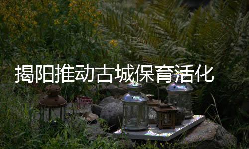 揭陽推動(dòng)古城保育活化 千年古邑展現(xiàn)新面貌