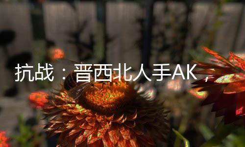 抗戰(zhàn)：晉西北人手AK，光頭懵了