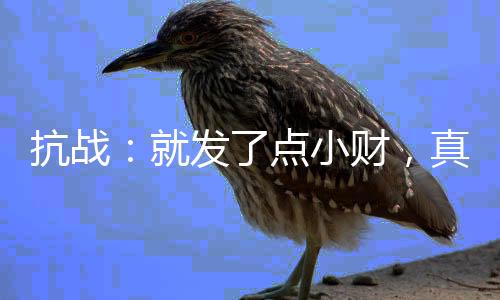 抗戰(zhàn)：就發(fā)了點(diǎn)小財(cái)，真沒(méi)建國(guó)！