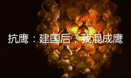 抗鷹：建國后，我混成鷹派大元帥