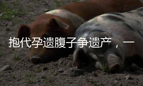 抱代孕遺腹子爭遺產(chǎn)，一場復(fù)雜的法律與倫理挑戰(zhàn)