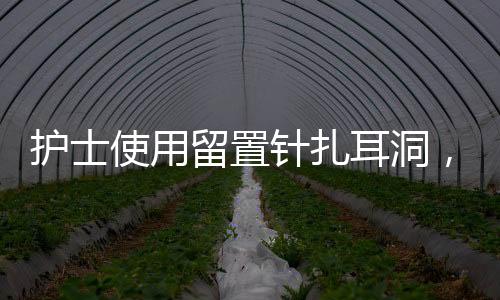 護(hù)士使用留置針扎耳洞，專業(yè)護(hù)理與時尚選擇的新結(jié)合