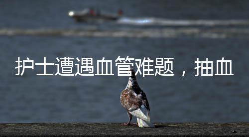 護(hù)士遭遇血管難題，抽血過程中的連續(xù)挑戰(zhàn)與護(hù)理藝術(shù)